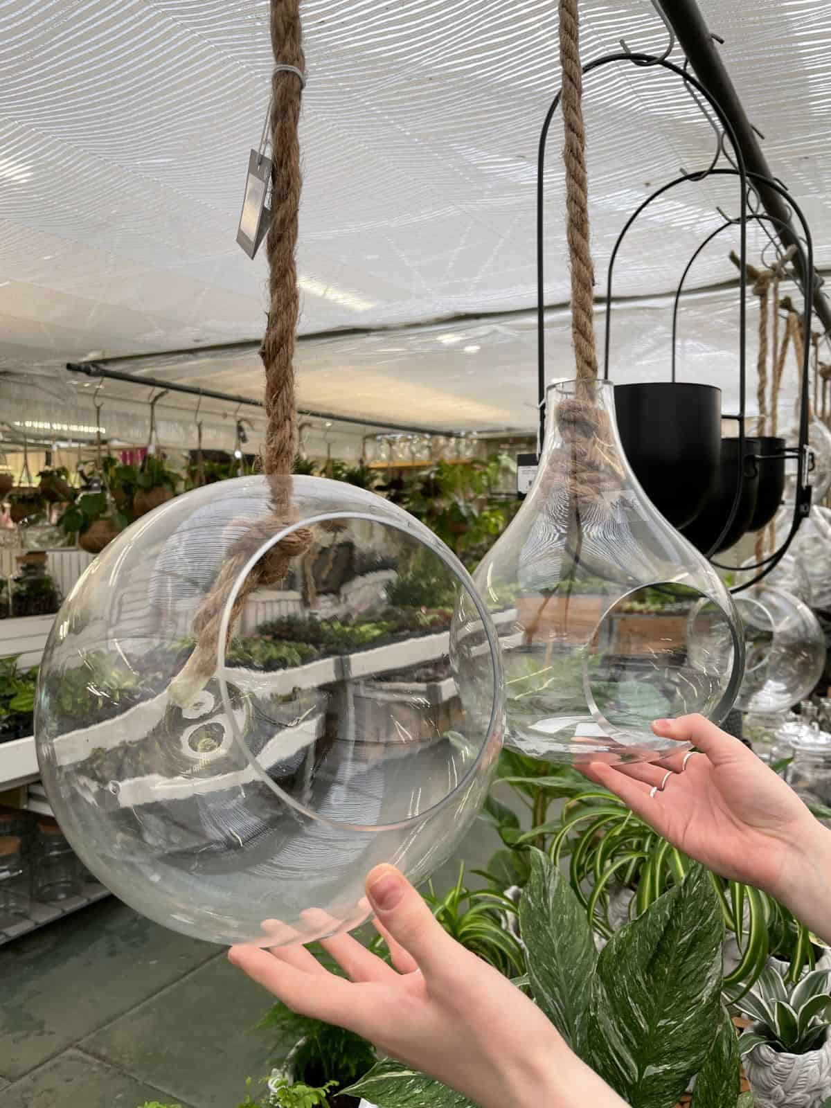 8 Types of Glass Terrarium for Your Next Project (Containers)