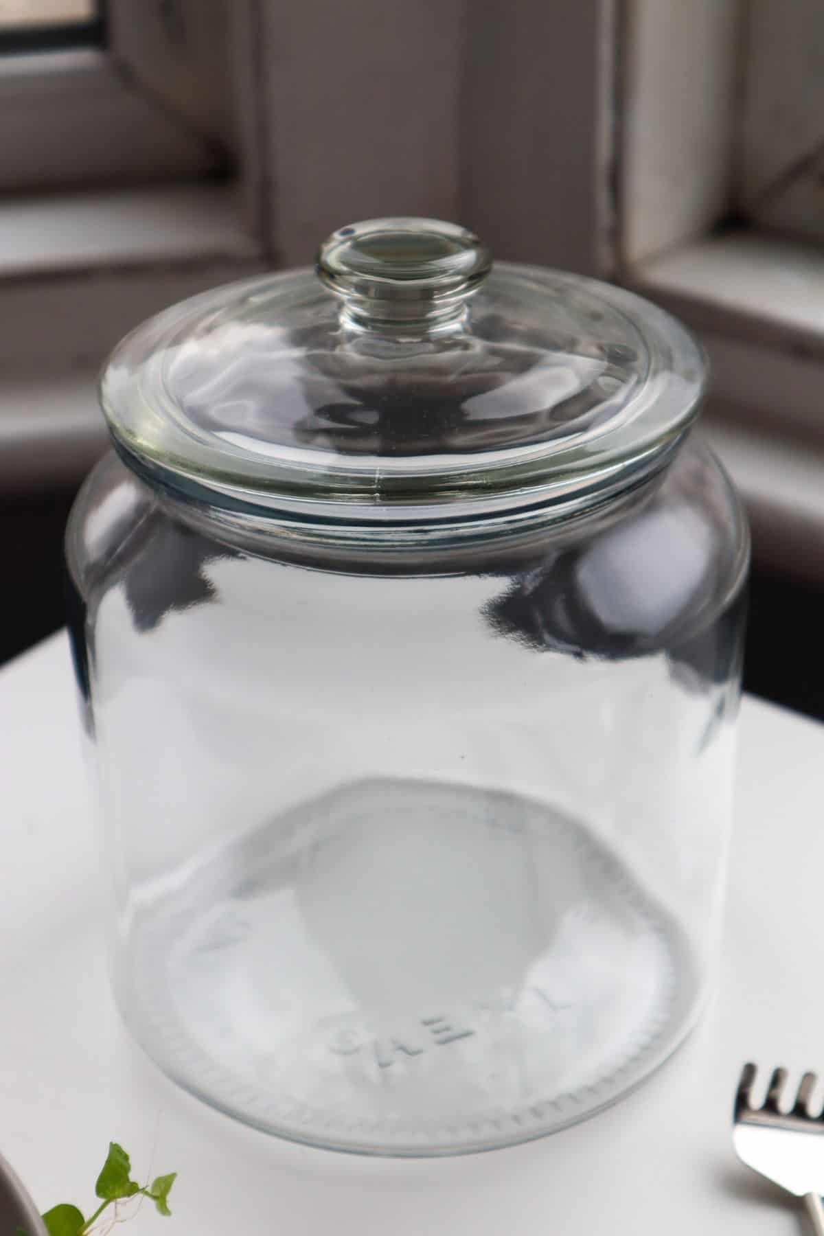 Ikea glass terrarium container with lid