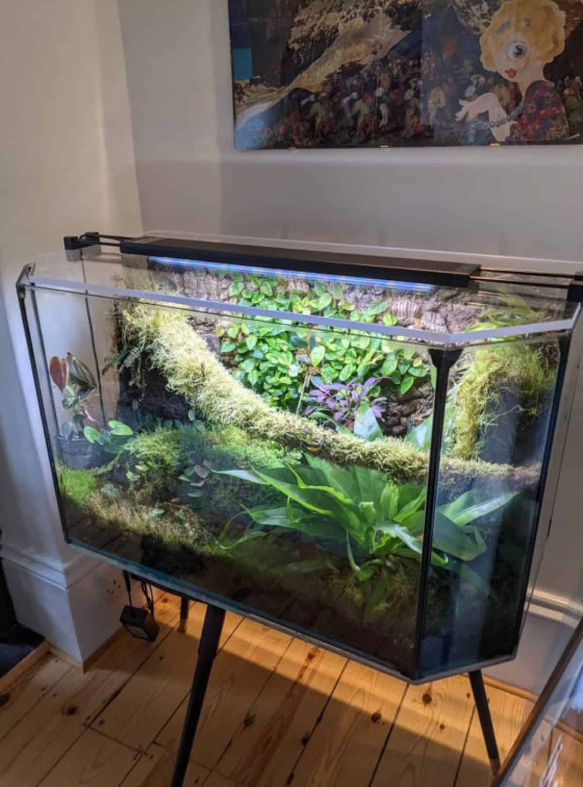 Vivarium 2025 lighting fixtures