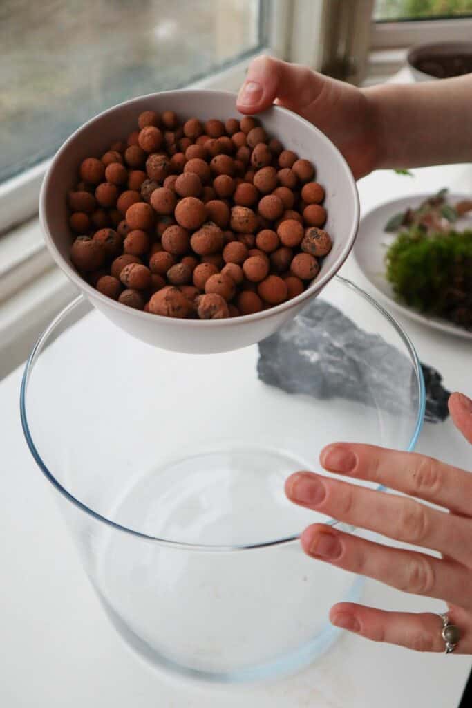 How to Use Leca in Terrariums (Drainage Layer Guide)