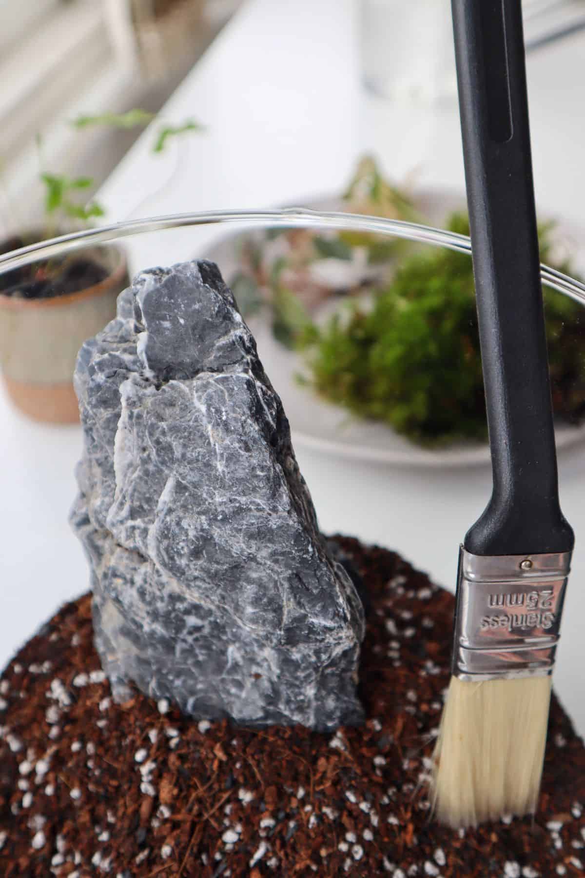 Evening out terrarium substrate layer with a brush