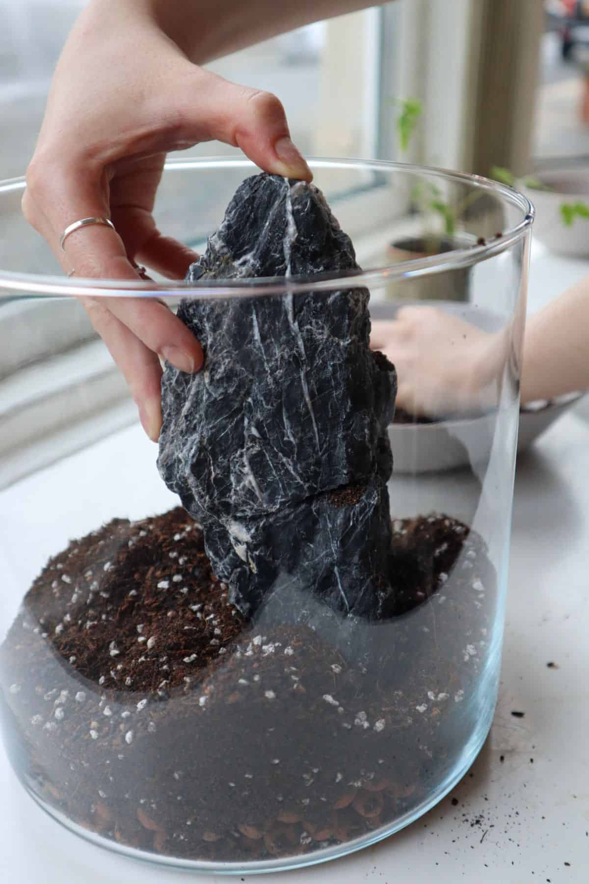 Seiryu stone hardscape added to a glass terrarium