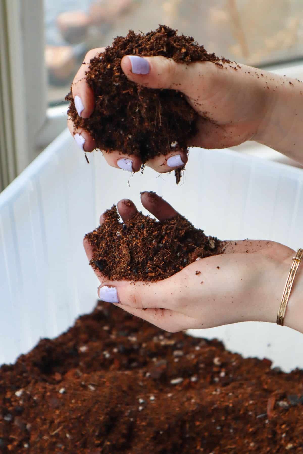 Terrarium substrate mix in hands