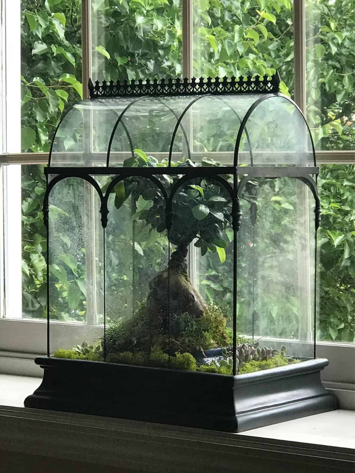 8 Types of Glass Terrarium for Your Next Project (Containers)