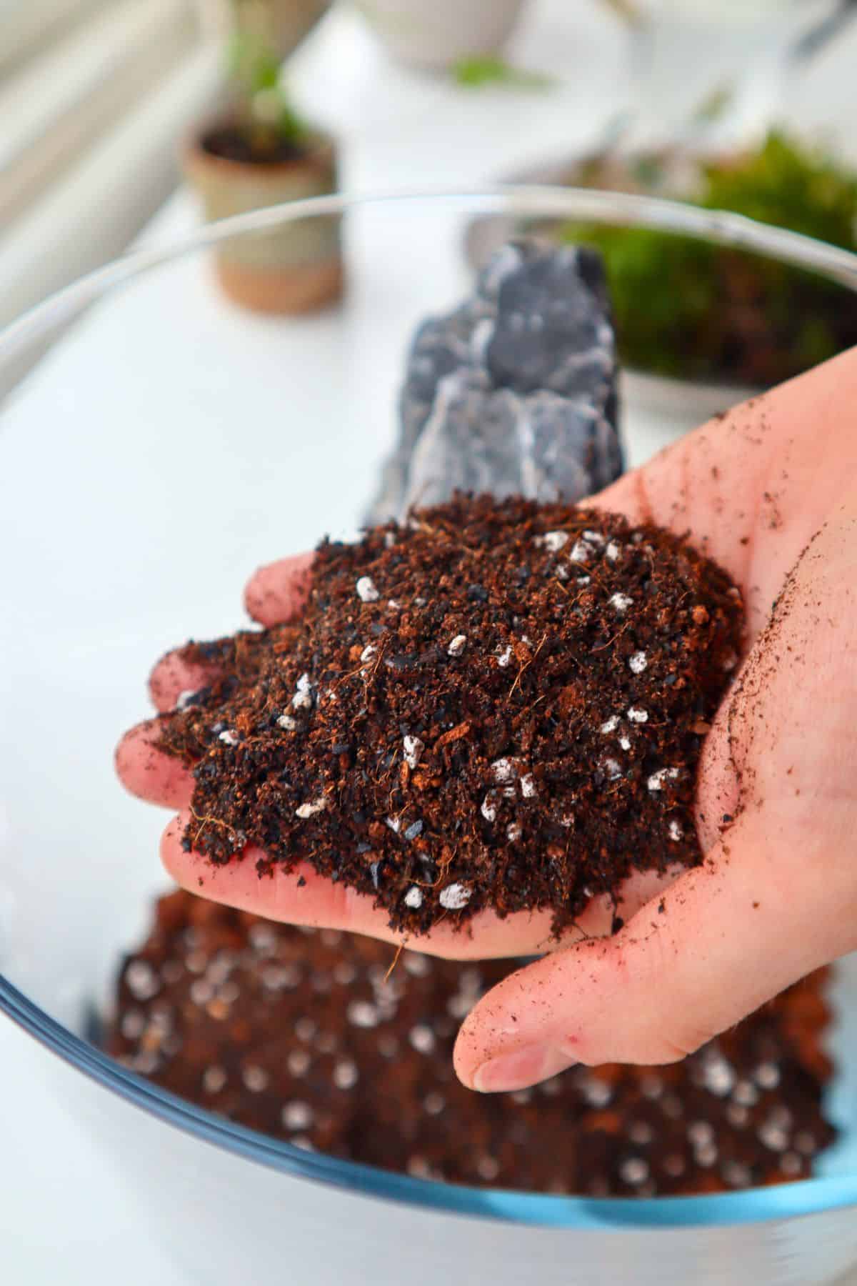 Terrarium soil mix held over a glass container, showing a chunky, well-draining substrate with bark, coco fiber, charcoal.