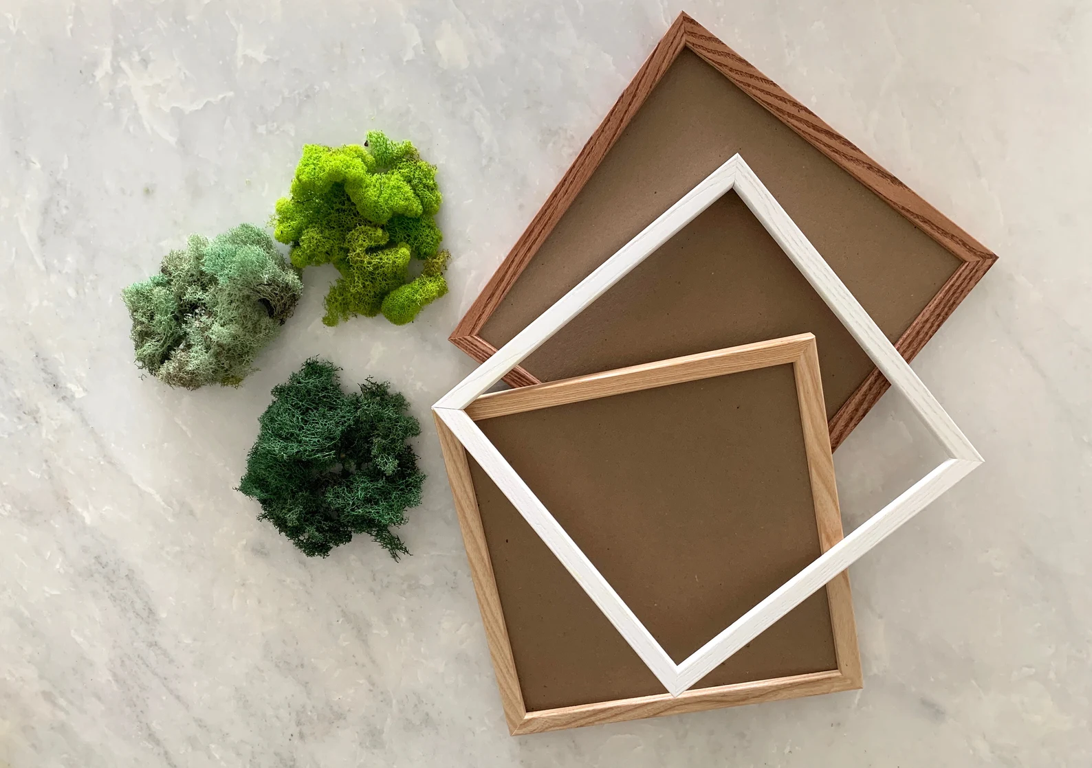 Minimalist moss art kit - OutsideInPlantShop on Etsy