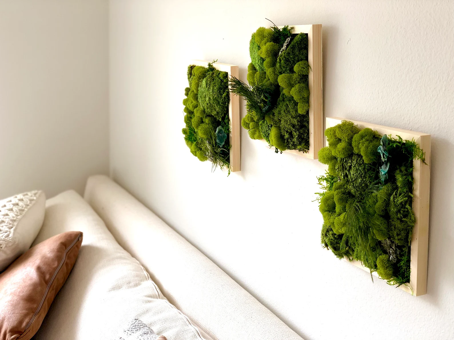 Moss frame trio - NaturelyBox on Etsy