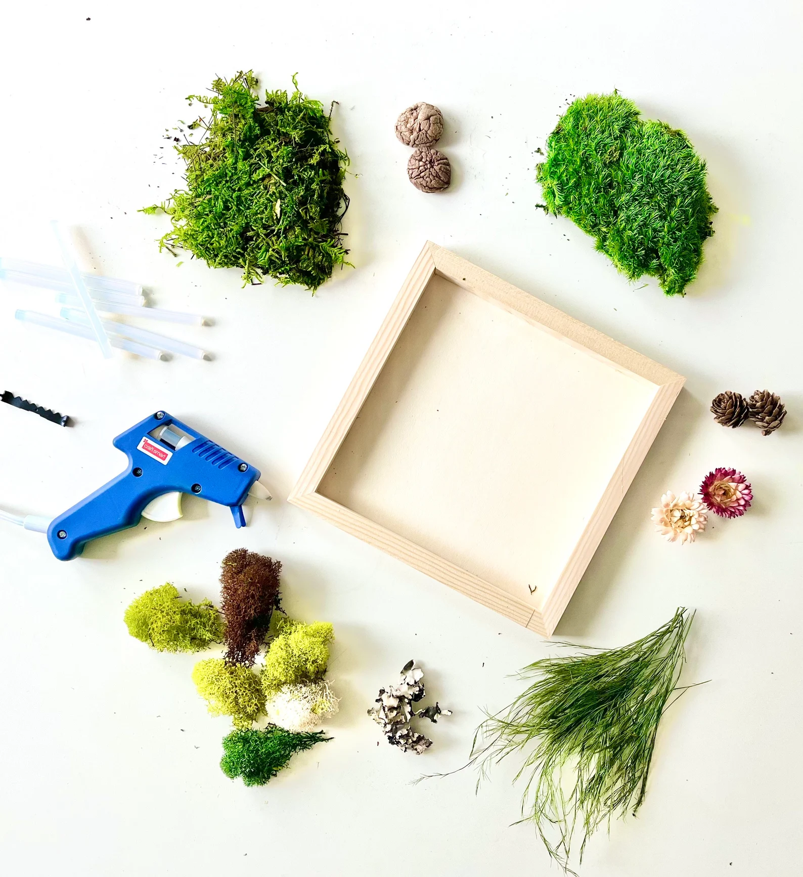 Moss frame - NaturelyBox on Etsy