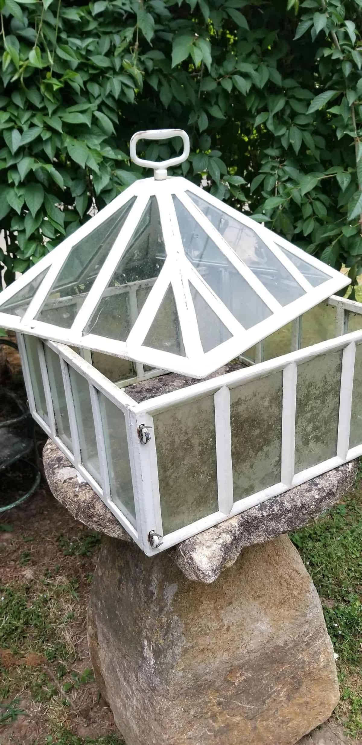 Large white paneled square terrarium with clouded glass and lid sitting on top