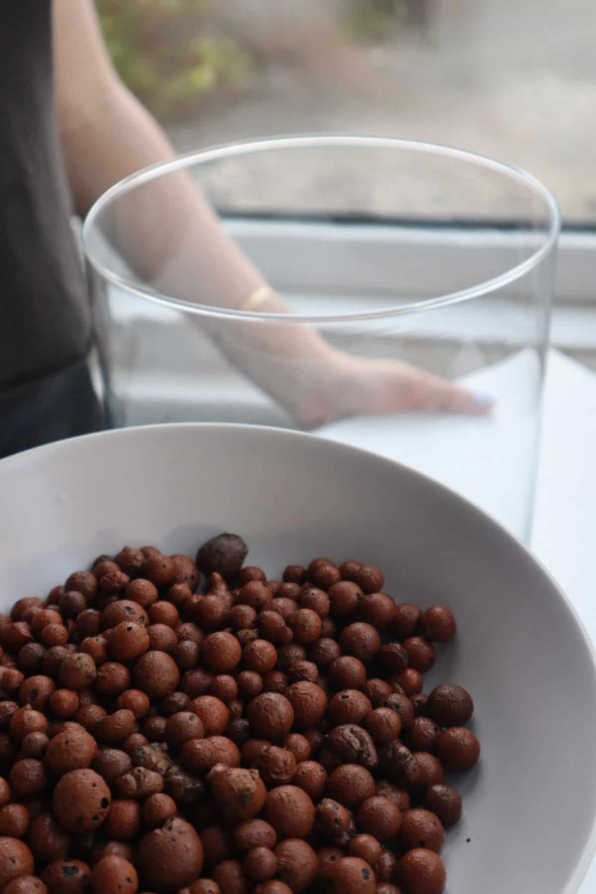 Leca in a bowl with an empty terrarium container in background