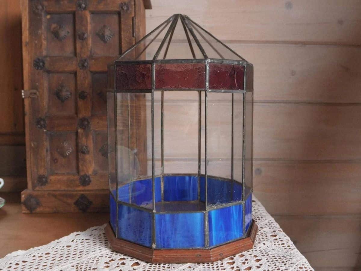 Wardian case terrarium with some clear glass panels, some blue and red, and a wooden base