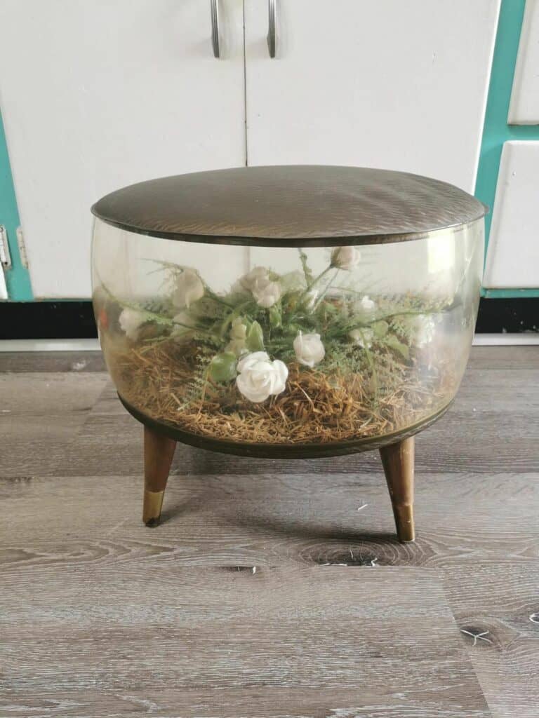 Antique & Vintage Terrariums Original Pieces & Retro Trends