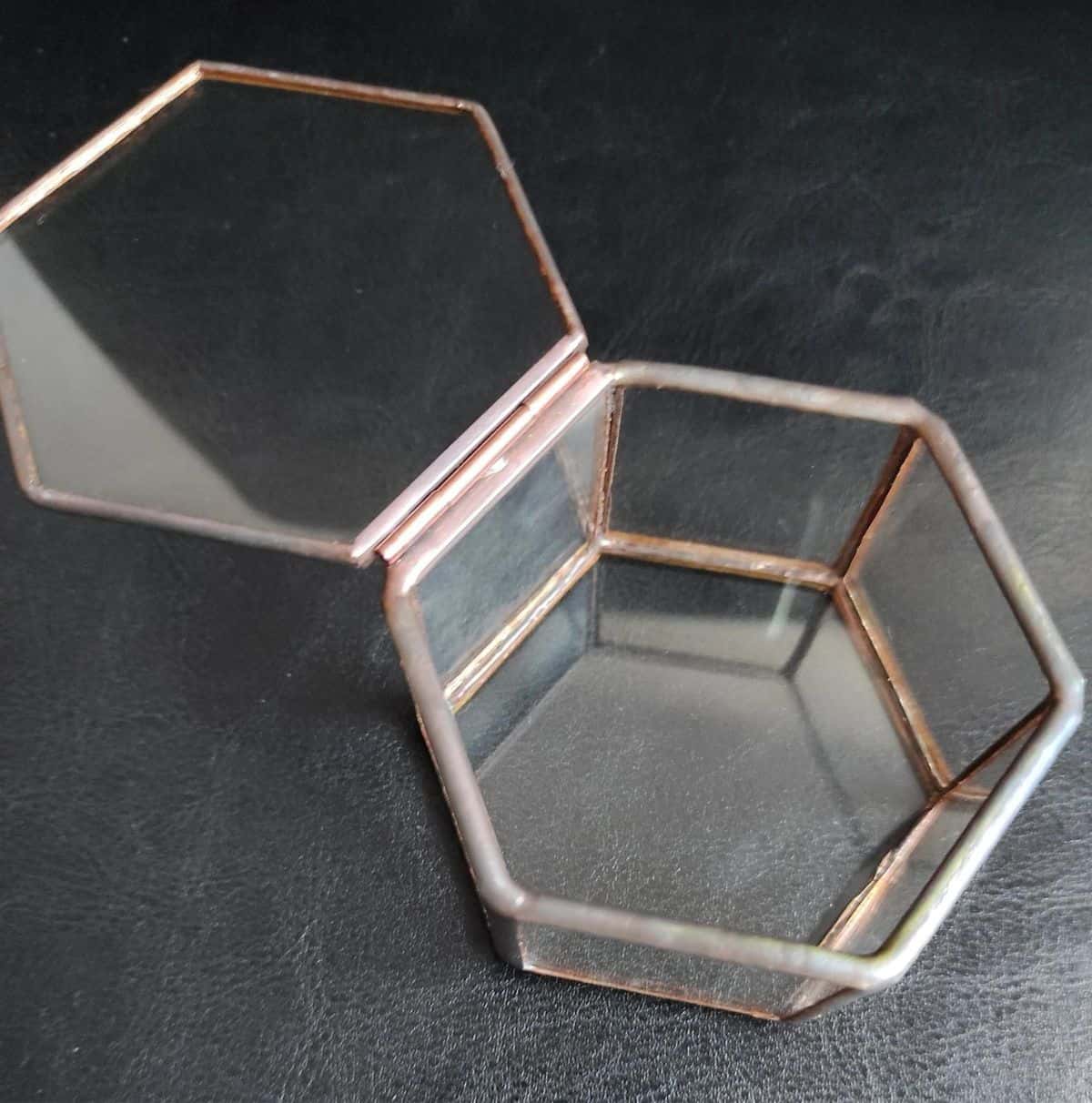 Hexagonal small geometric terrarium with lid