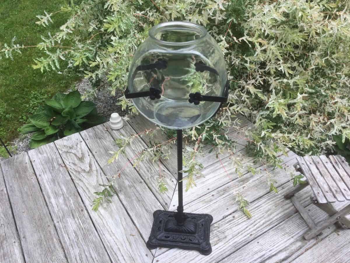 Vintage Circa 1960 Extra Large Glass Jar Terrarium Bottle -  UK