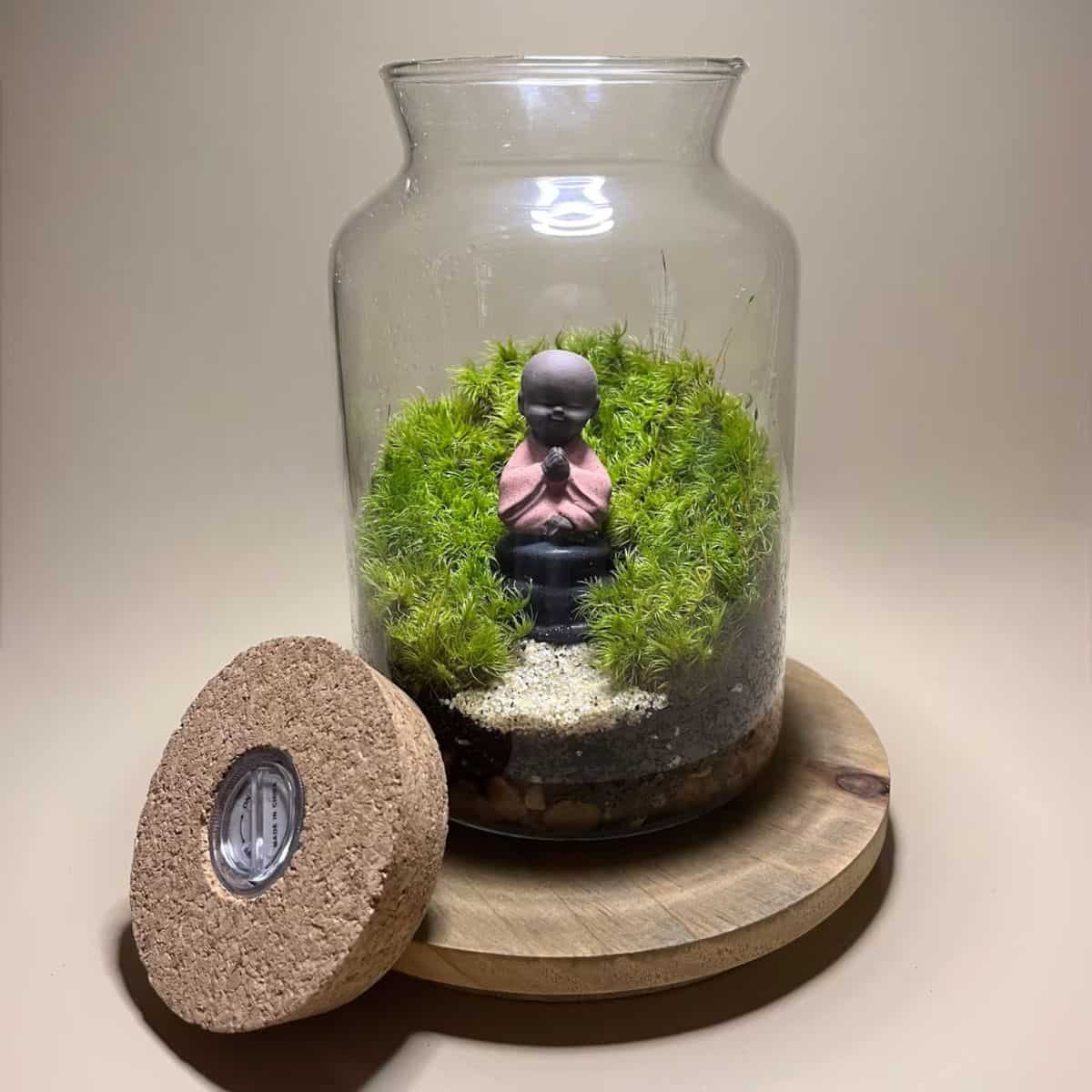 Moss Starter Kits & Terrariums – Moss Acres