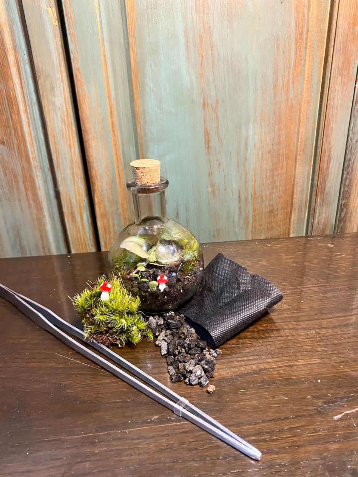 Constructed closed terrarium with materials used to build spread around