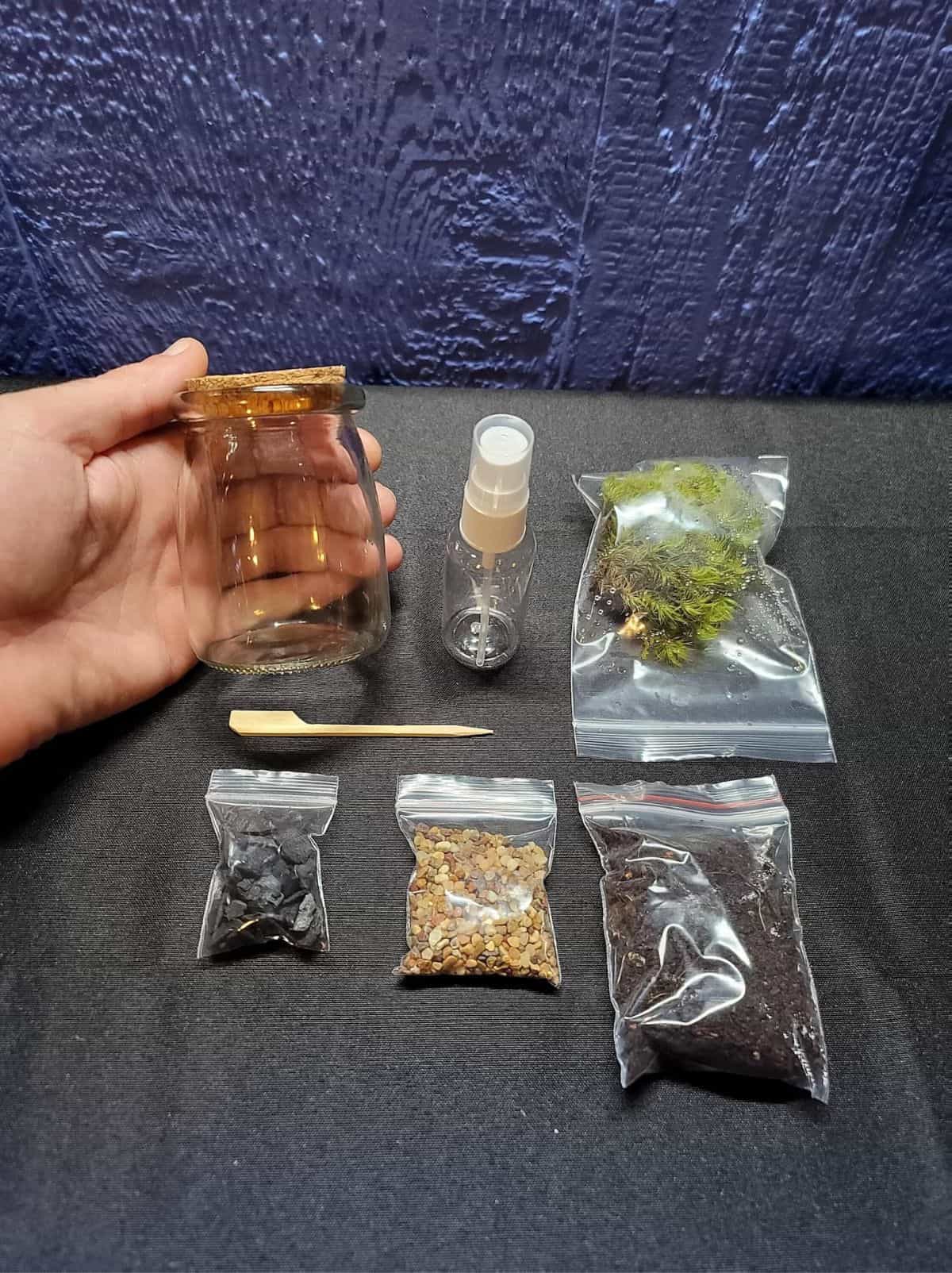 Moss terrarium kit ingredients laid out on table