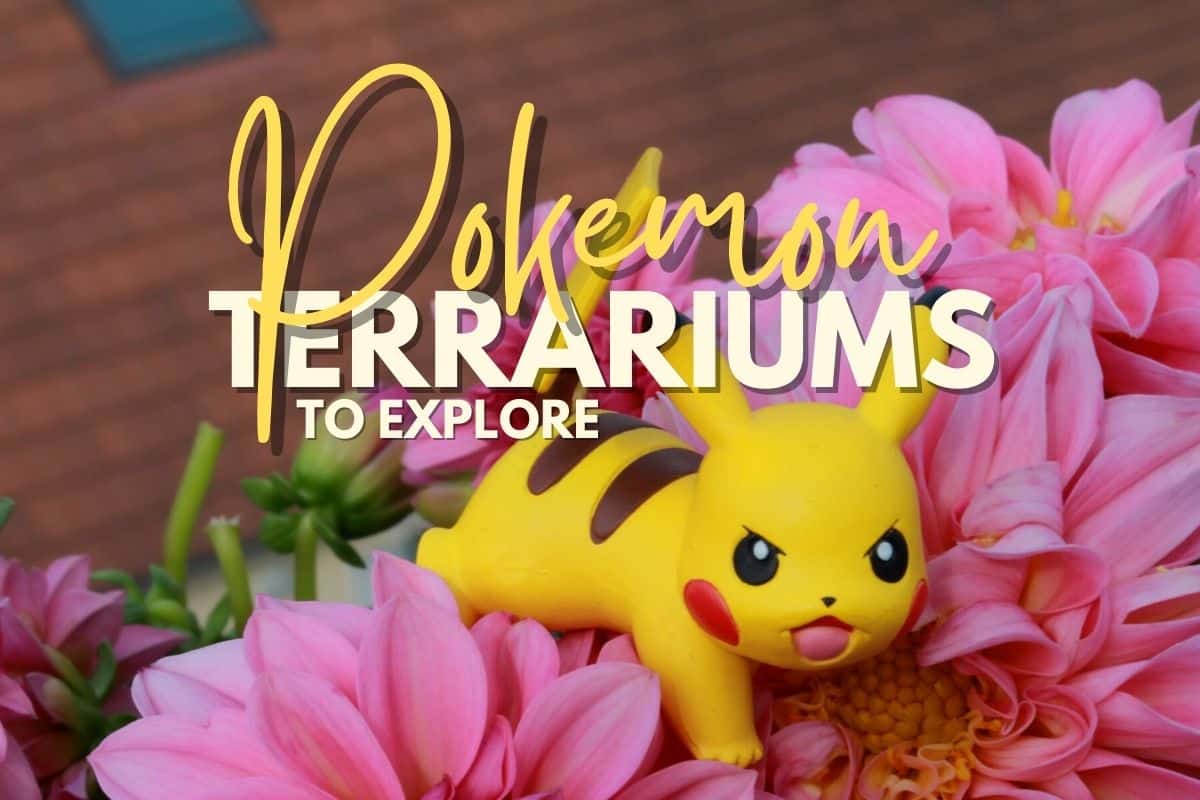 Pokemon Pokeball Terrariums - Terrarium Creations