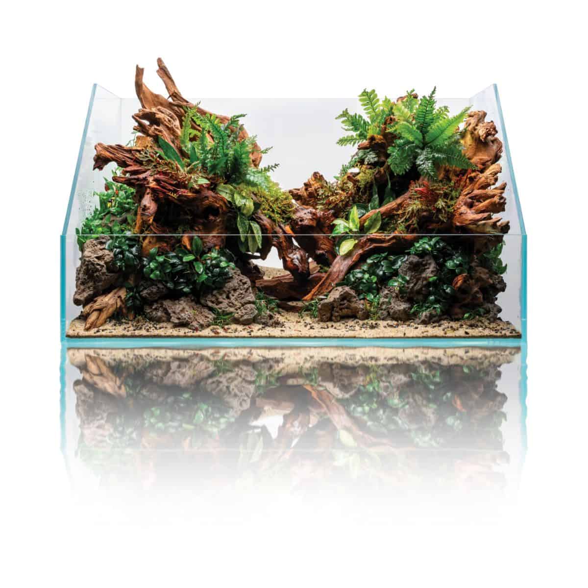 UNS Rimless Paludarium