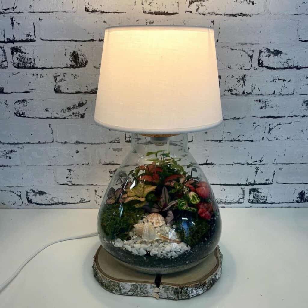 How to Make a Radiant Terrarium Lamp [DIY Guide]