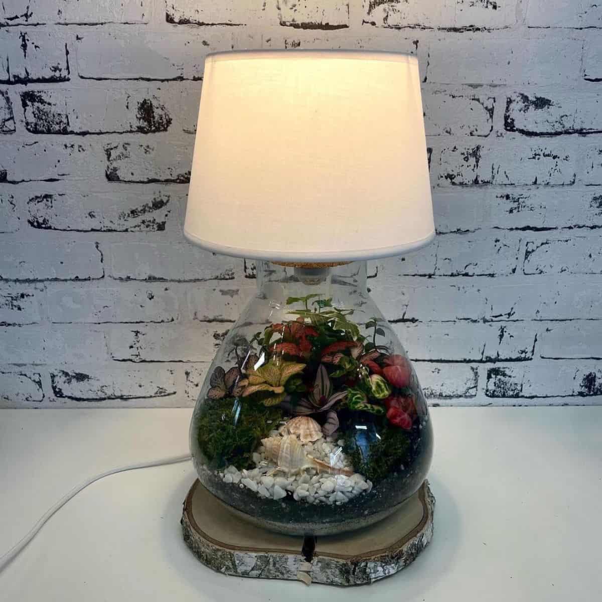 to Make a Terrarium Lamp [DIY