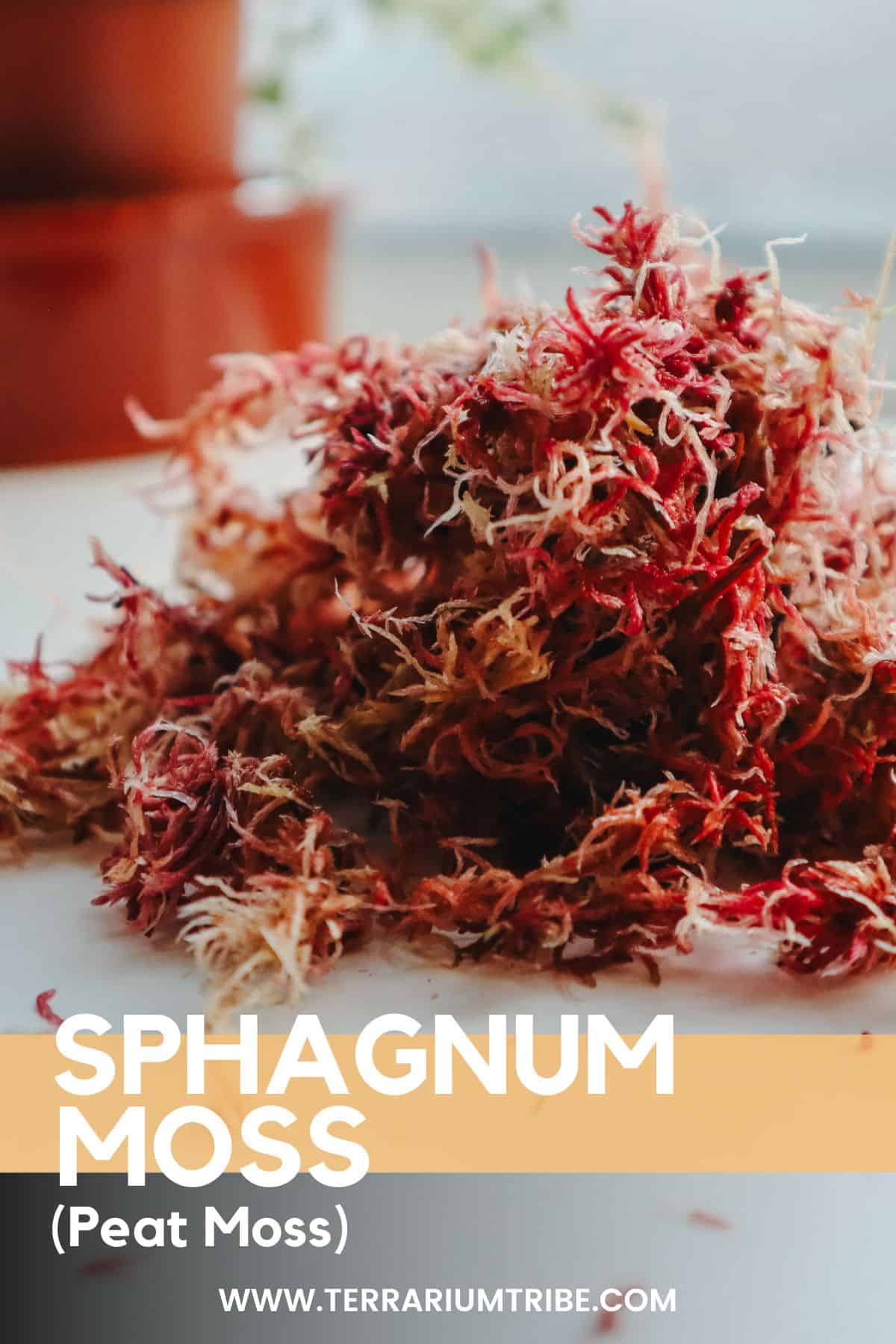 SPHAGNUM MOSS SUBSTRATE