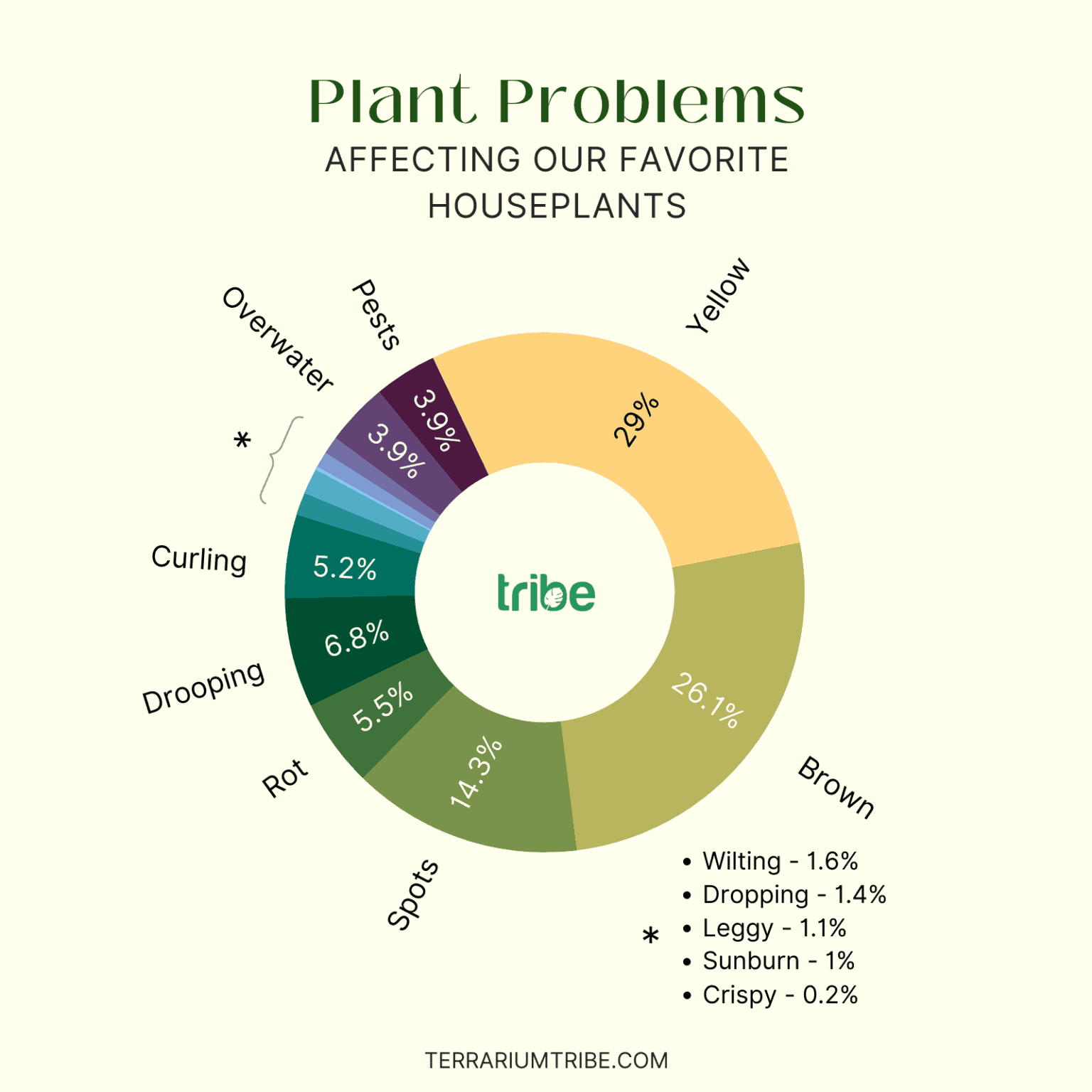 Houseplant Statistics & Trends 2024 [+ Original Search Data]