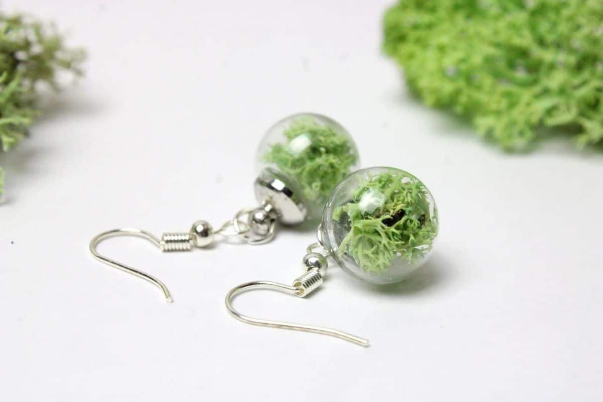 Small glass globes with preserved moss in on silver earring hooks