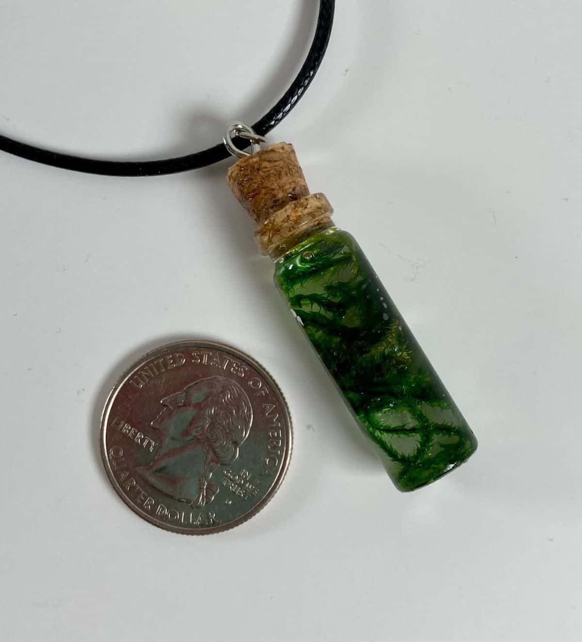 Small terrarium necklace with black chain next to quarter for size comparison