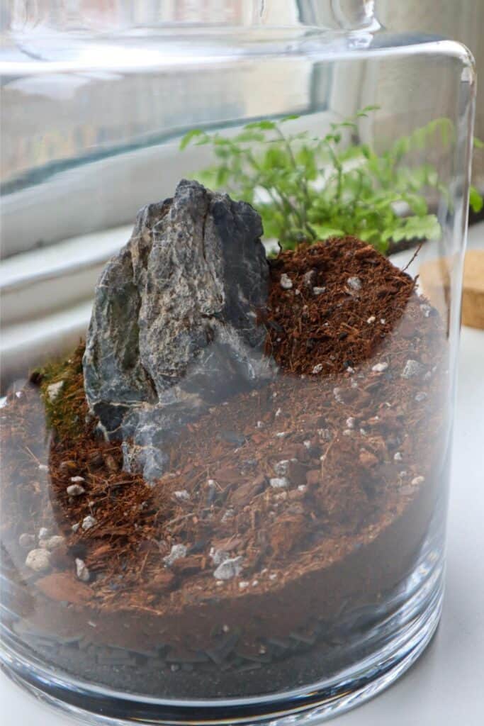 How to Make a Radiant Terrarium Lamp [DIY Guide]