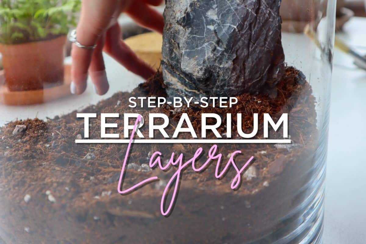 The BEST Step-by-Step Guide for Making a Terrarium!