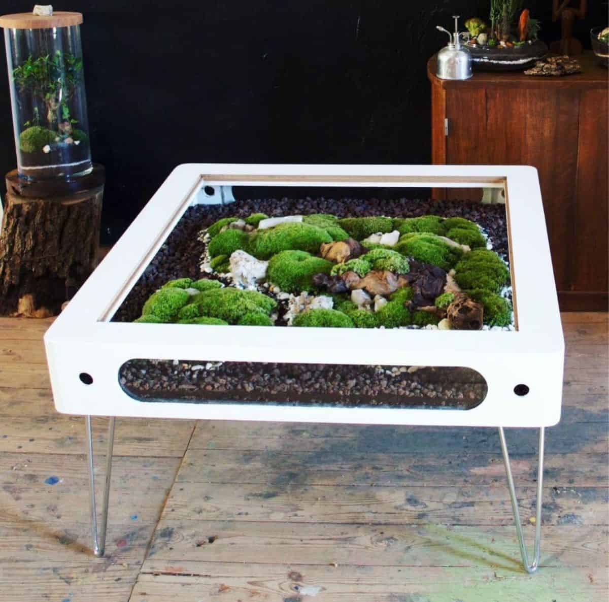 DIY Terrarium Moss Garden Coffee Table: Building a terrarium