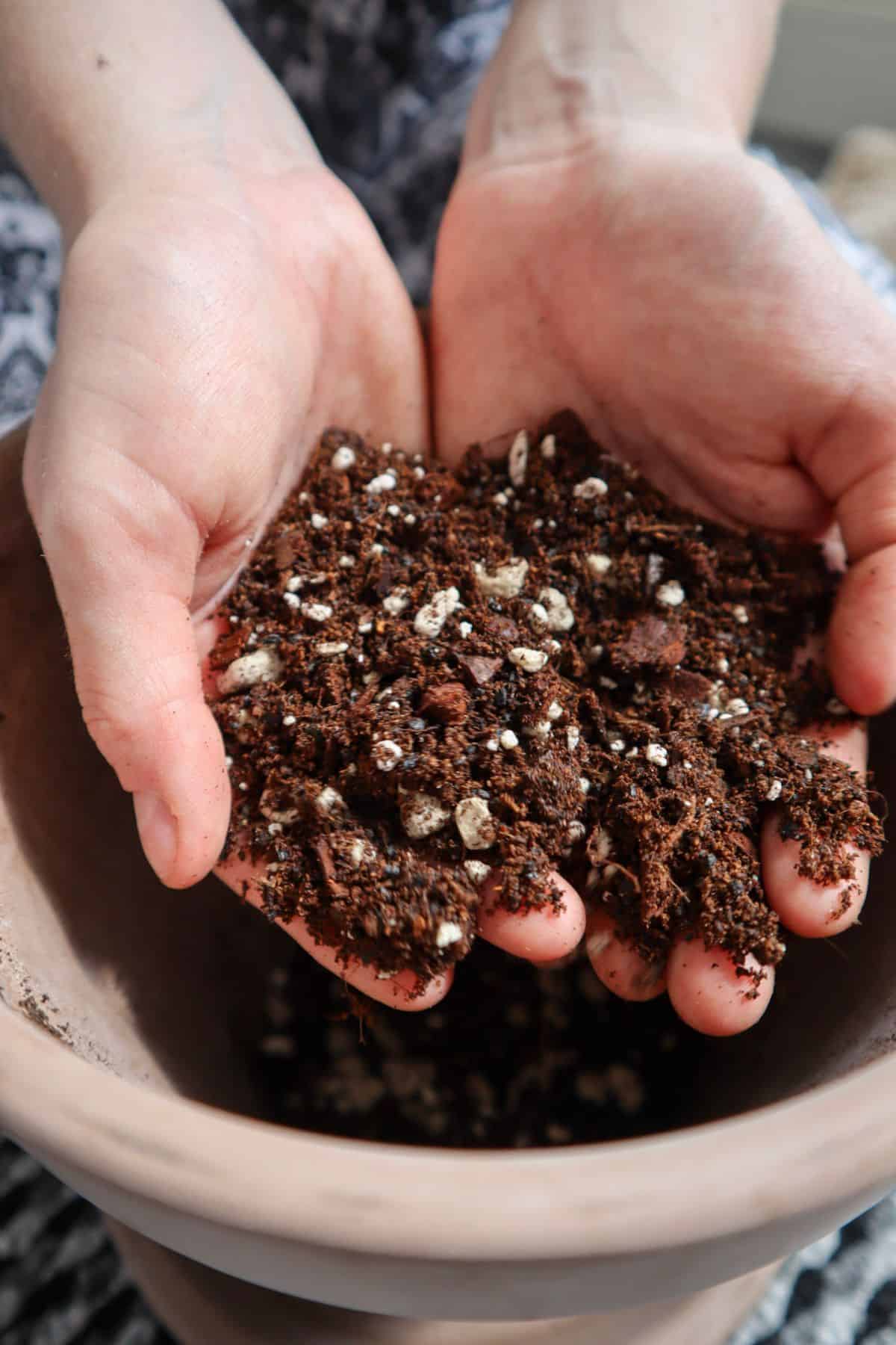 hands holding chunky terrarium substrate mix with pot