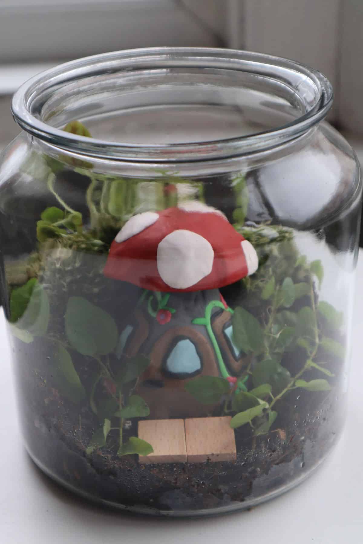 Fairy garden terrarium with mushroom house and plants