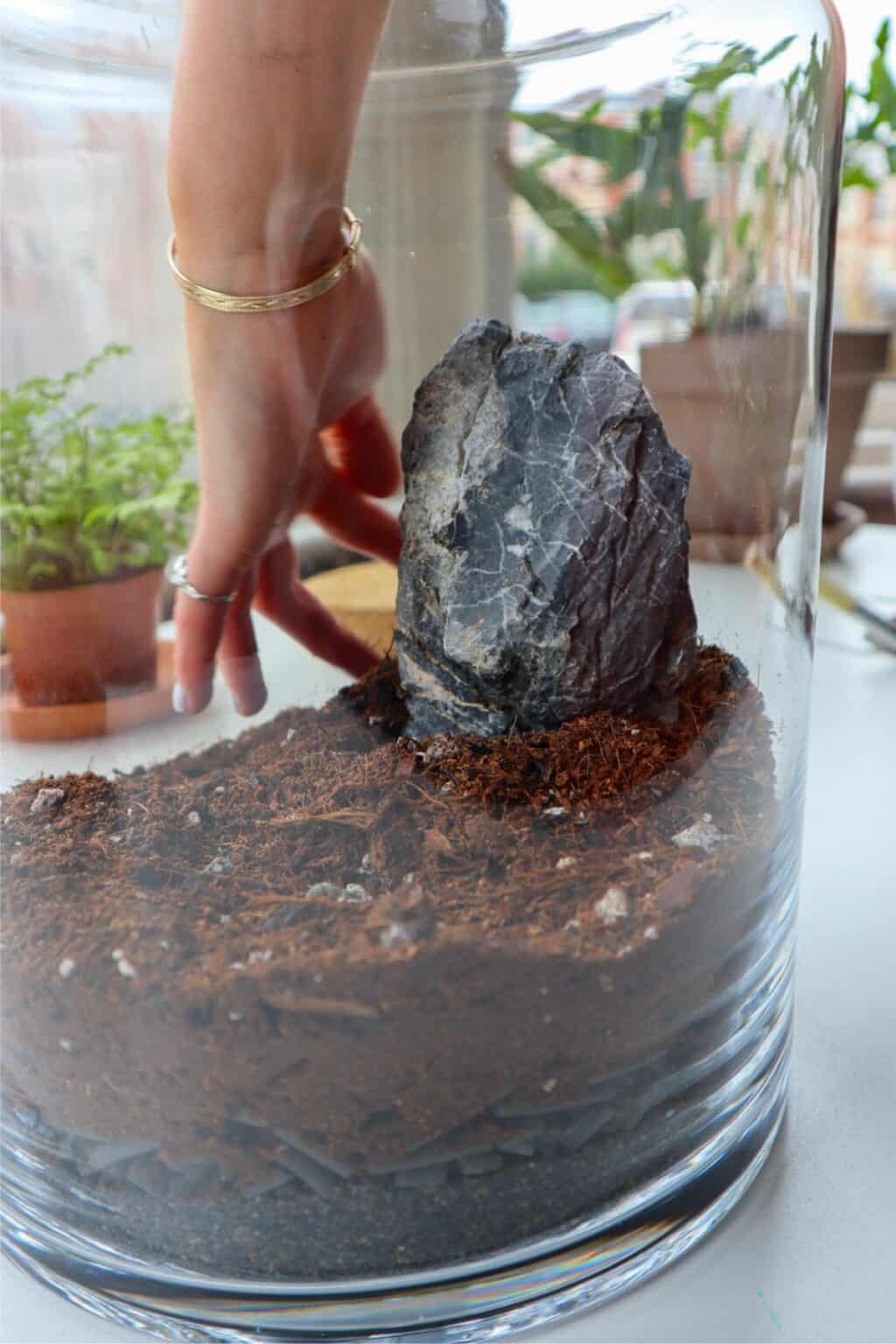 5 Visually Stunning Terrarium Rocks for Creative Planting