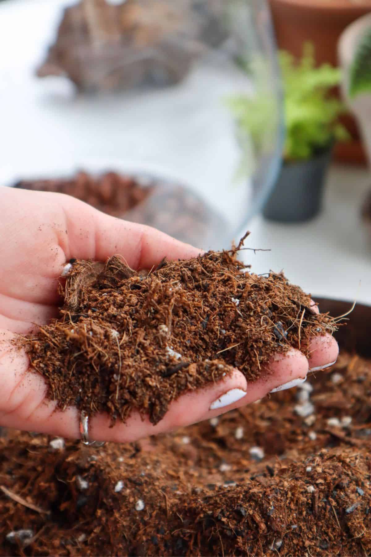 Terrarium Soil Houseplant Potting Mix All Purpose Planting Substrate Medium  for Terrariums and Plants Peat Free Plant Soil Compost -  Hong Kong