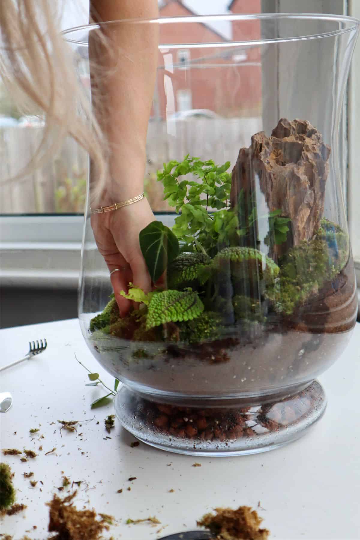 terrarium being built with layer of leca at bottom