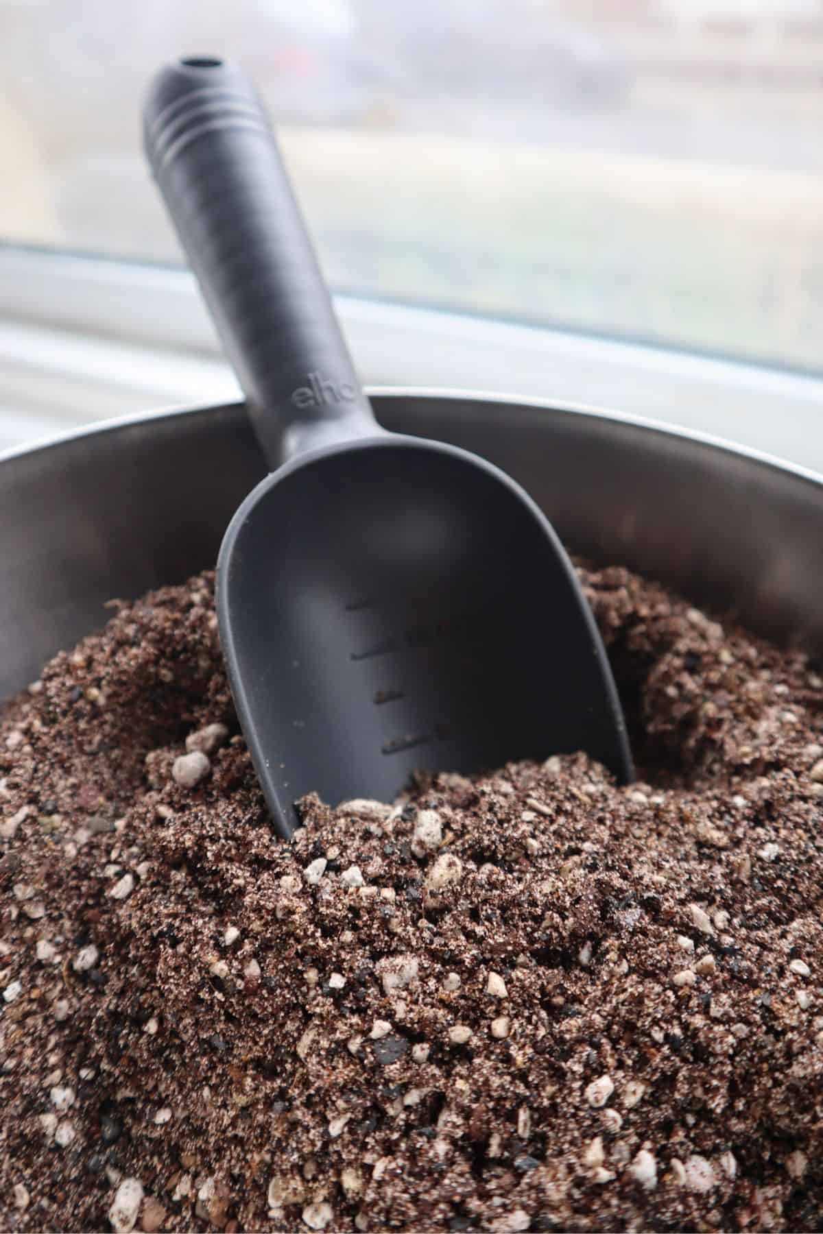 cactus substrate mix in bowl with trowel