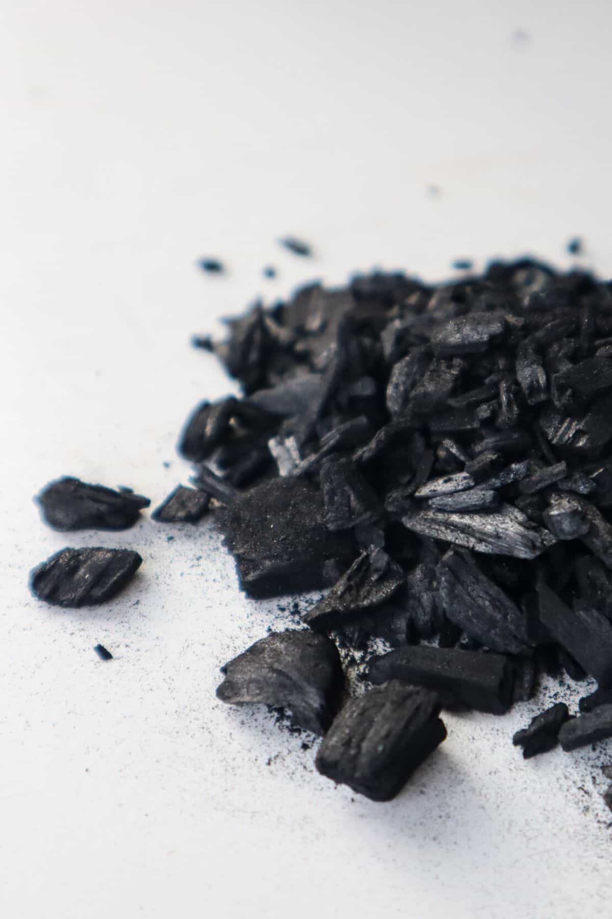 Horticultural Charcoal Biochar for Houseplants & Terrariums – The Plant  Lady SF