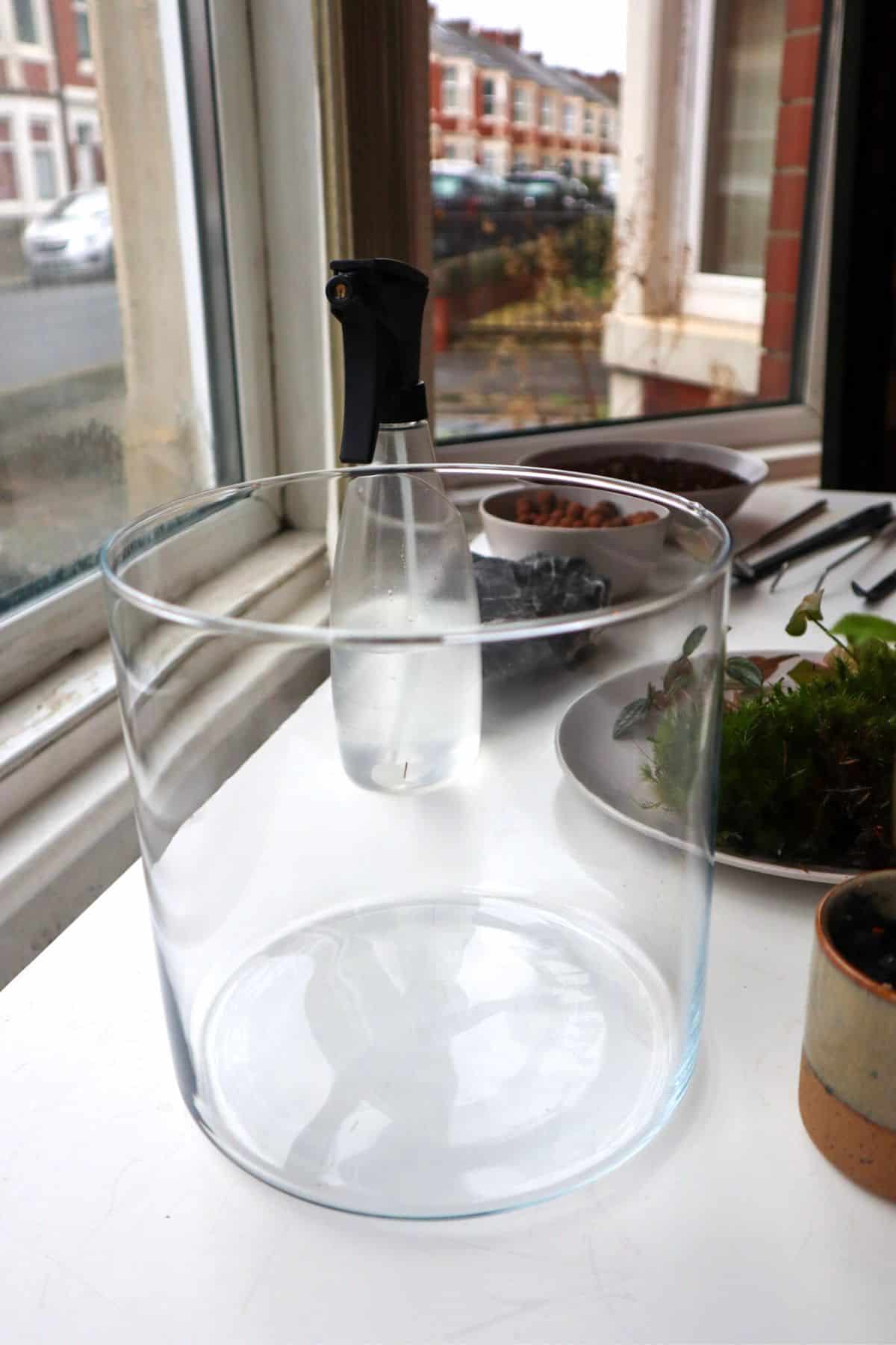 Where can I buy large glass containers for a terrarium like the one in the  picture? : r/terrariums