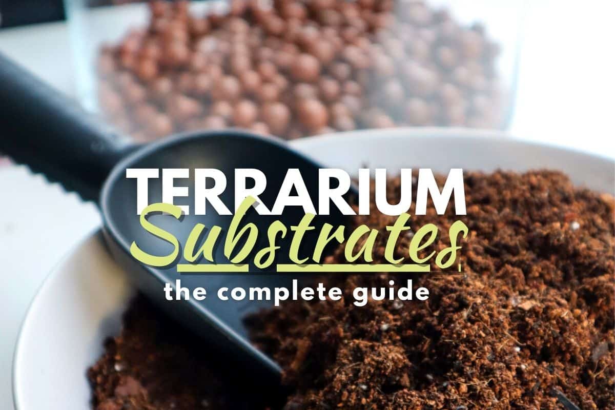 Terrarium Soil, Premium Ingredients, Re-Sealable, Planting Soil, Vivarium  Substrate, Terrarium Substrate