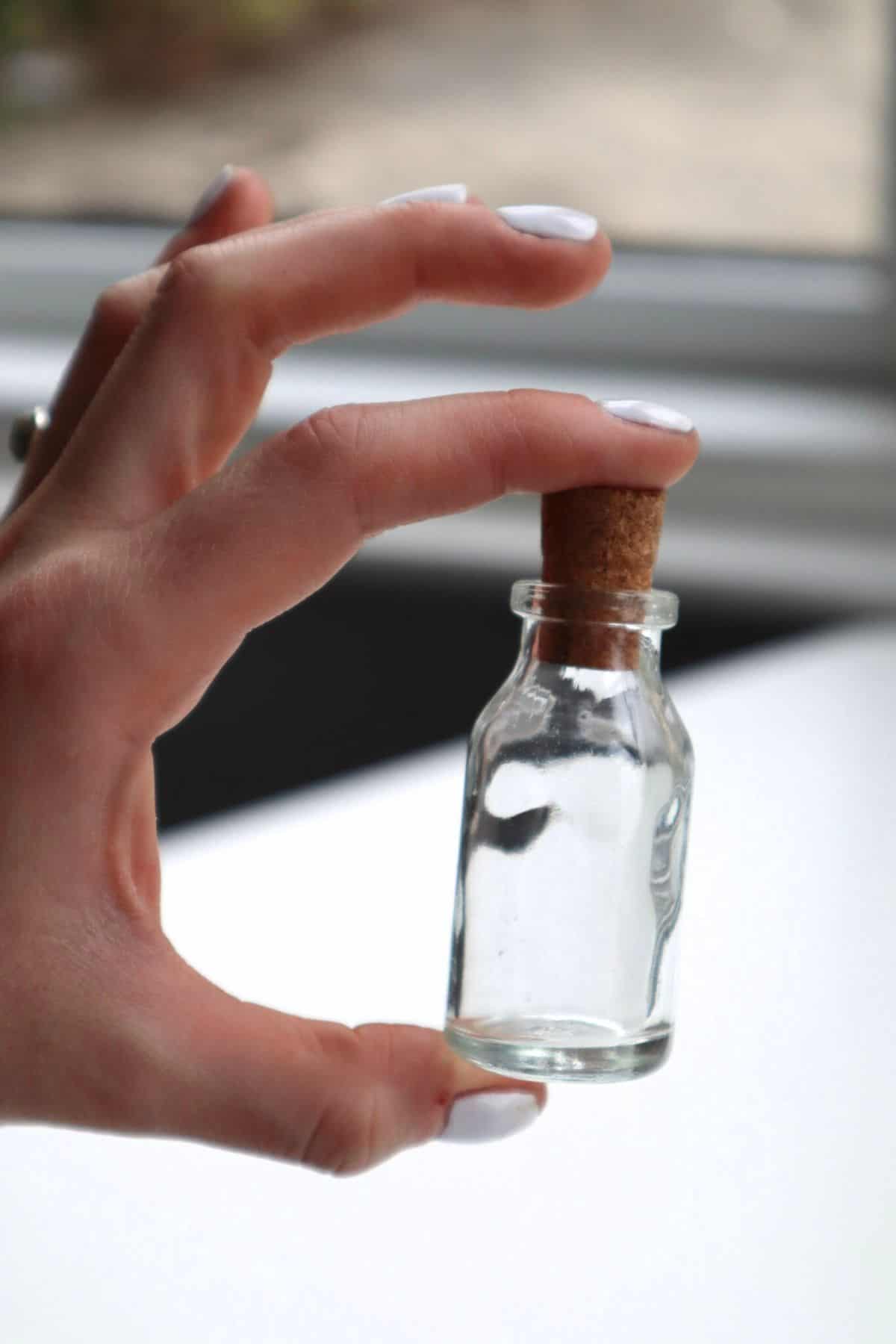 tiny terrarium container between thumb and finger