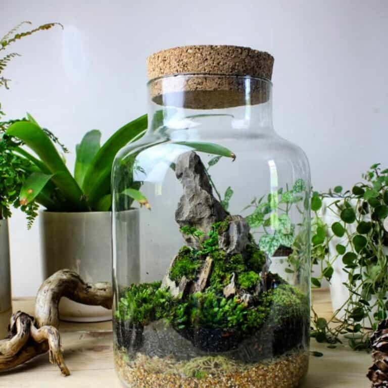 12+ Creative DIY Terrarium Ideas to Try Get Your Craft On!