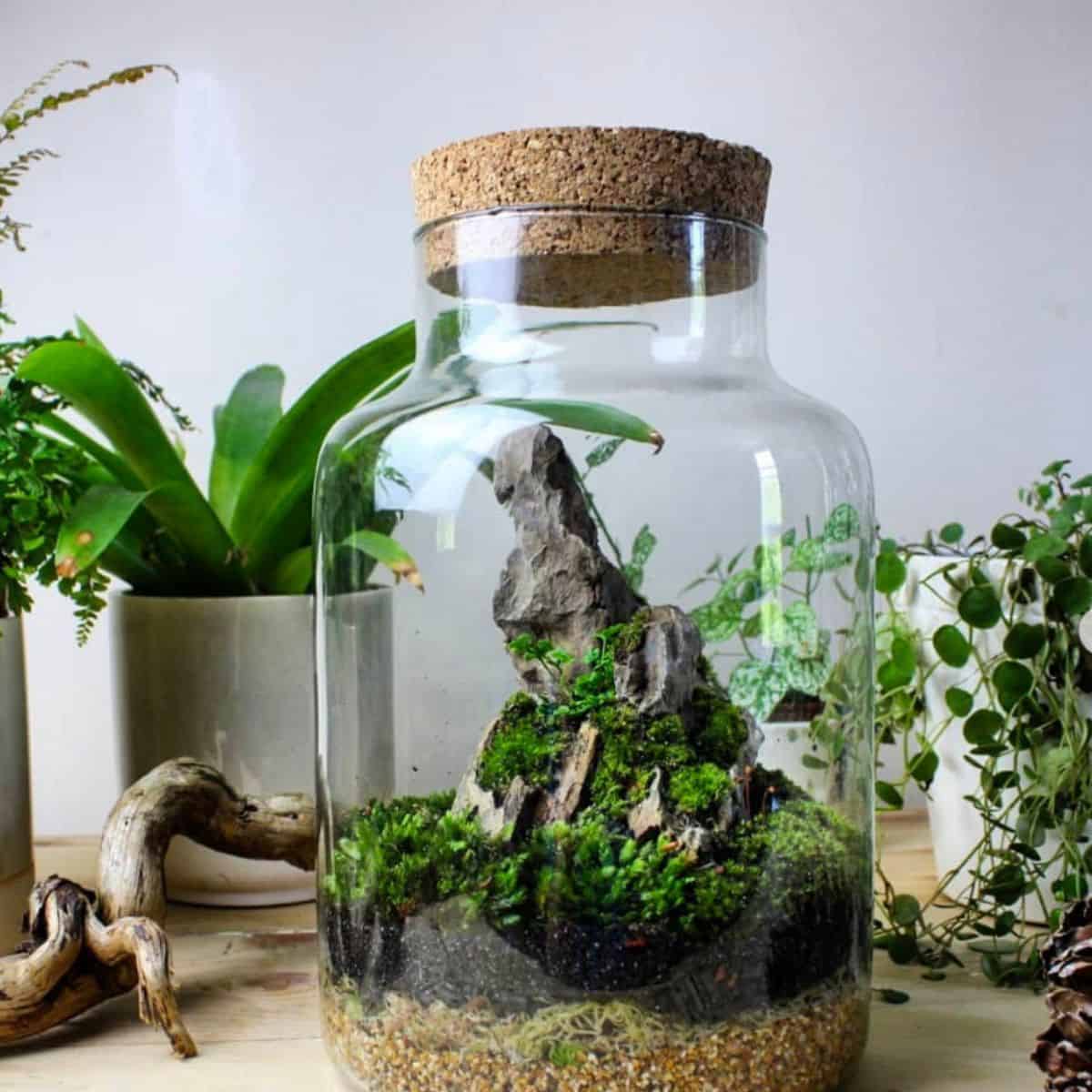 You Can Make a Terrarium Your Kids Will Love! Here's How