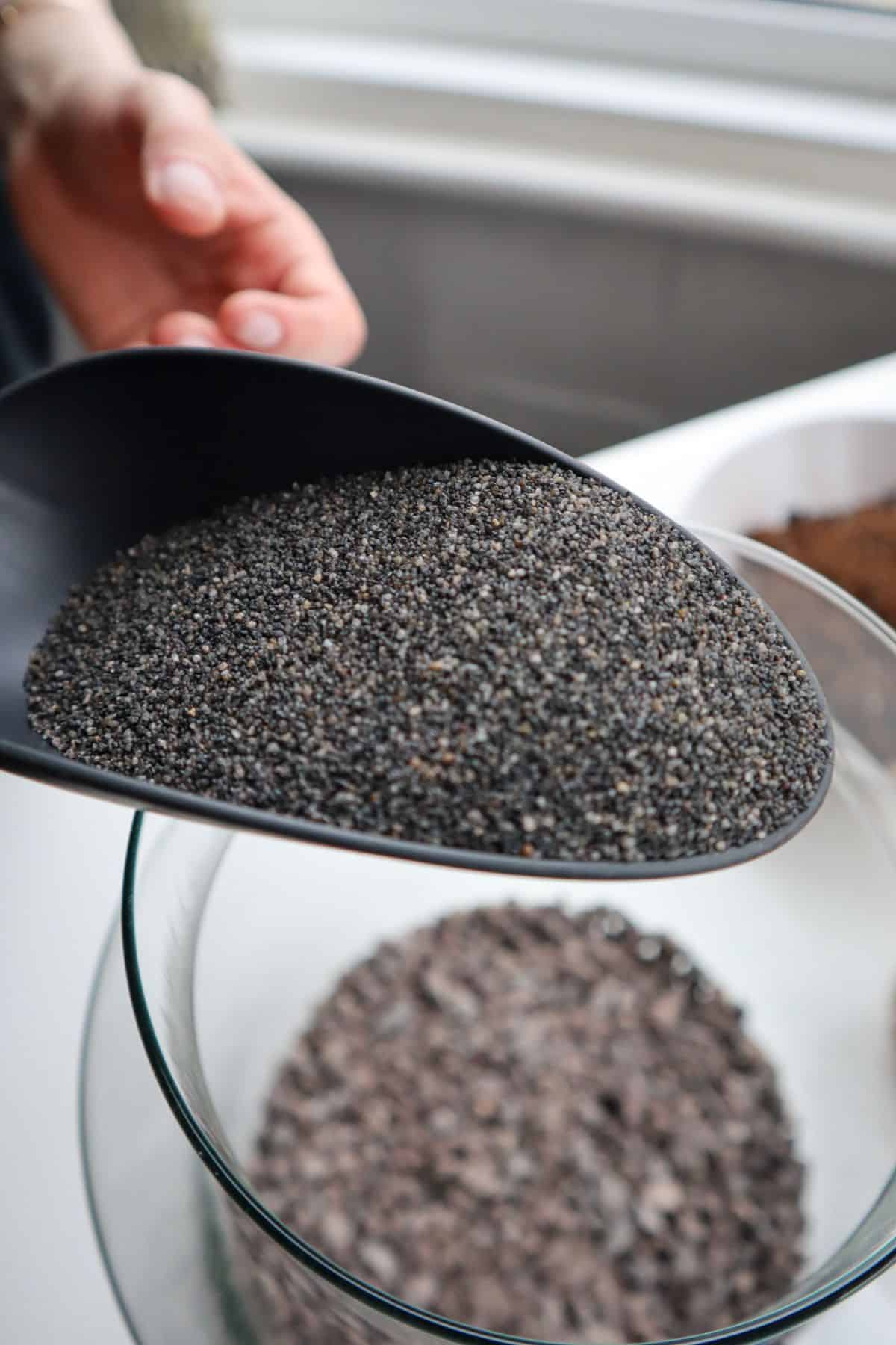 Terrarium Potting Soil Mix (4 Quarts), w/Blended Filtering Charcoal Custom  Made for Terrariums