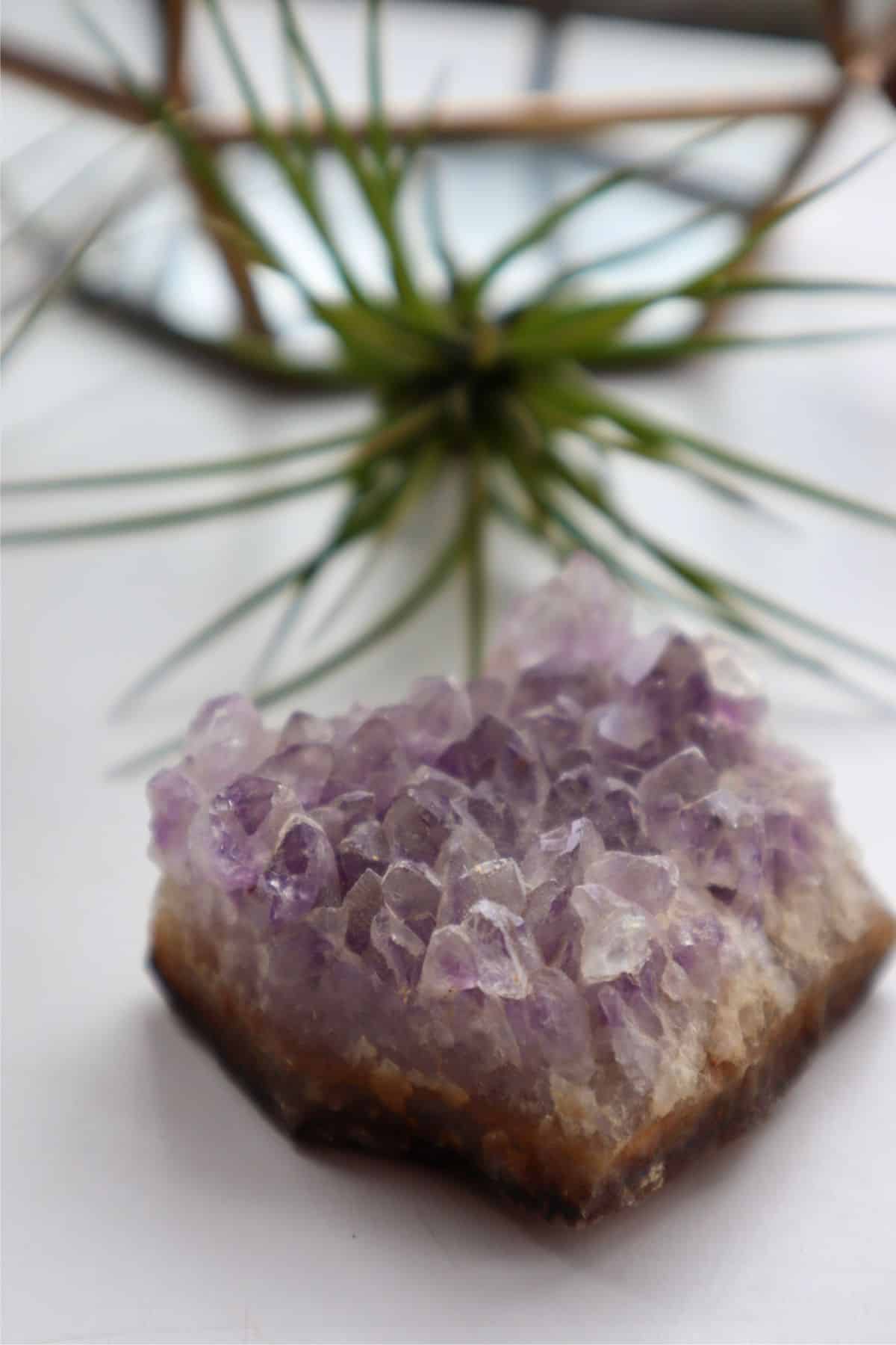 amethyst crystal for terrarium