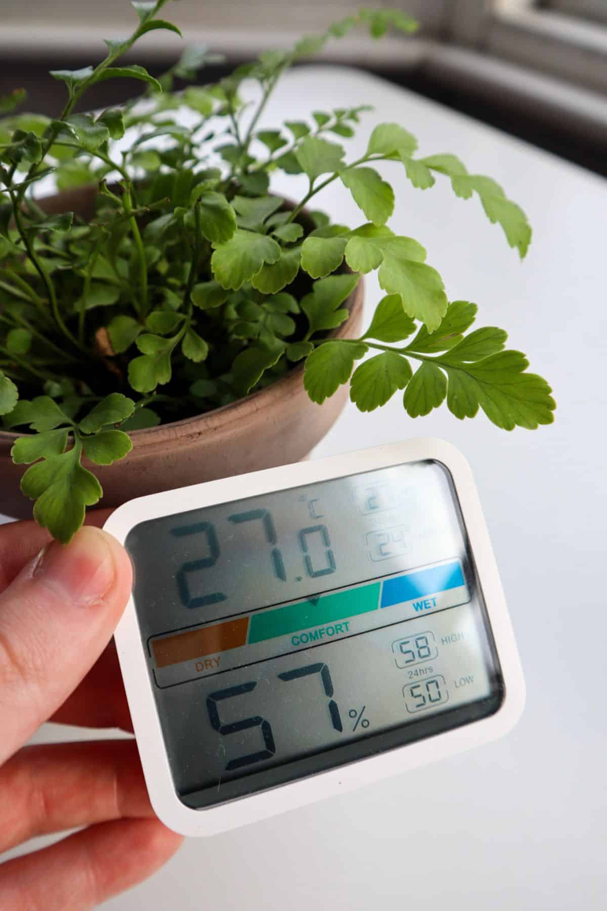 Terrarium Thermometer-Hygrometer, Environmental Controls