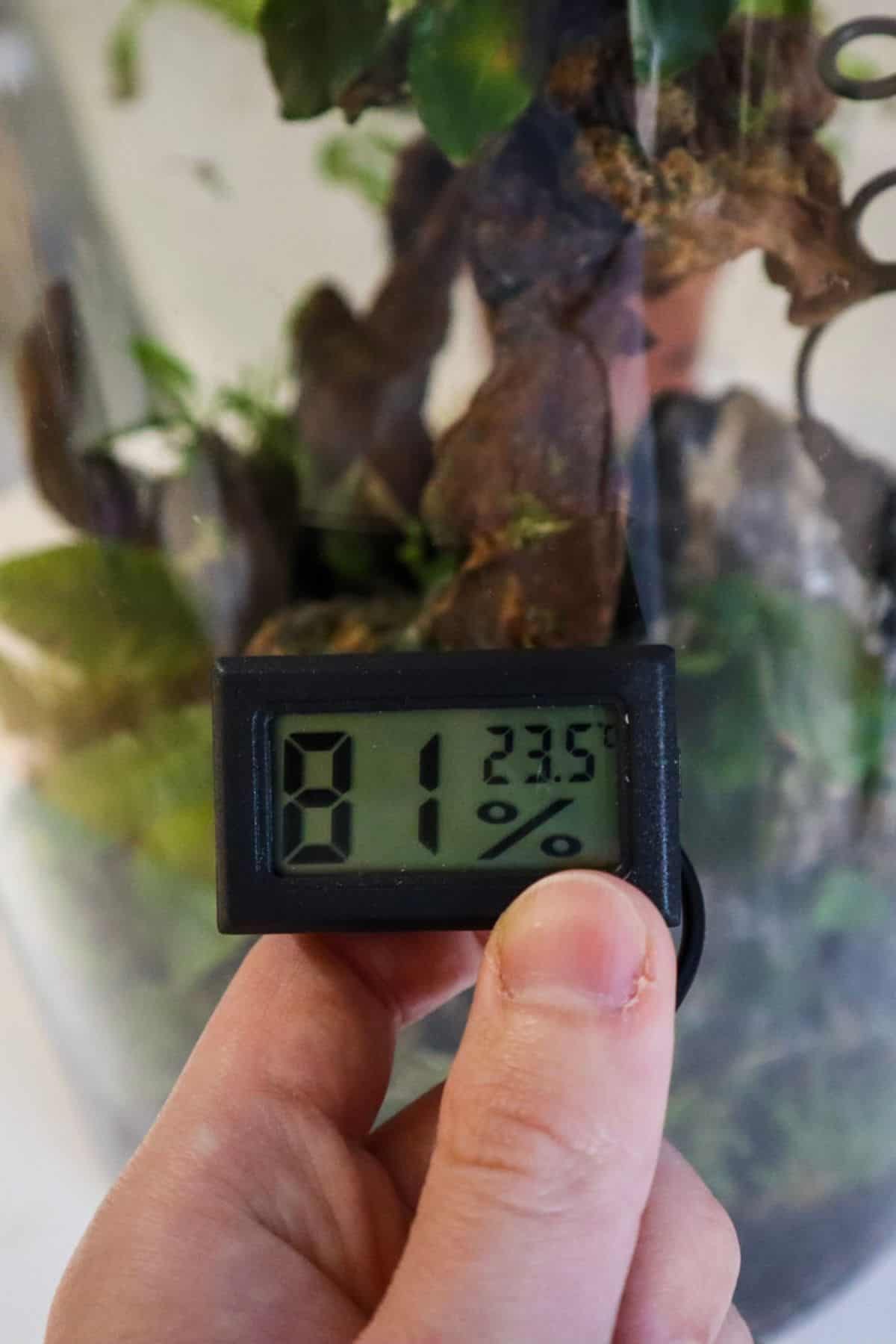 humidity probe showing 81% humidity