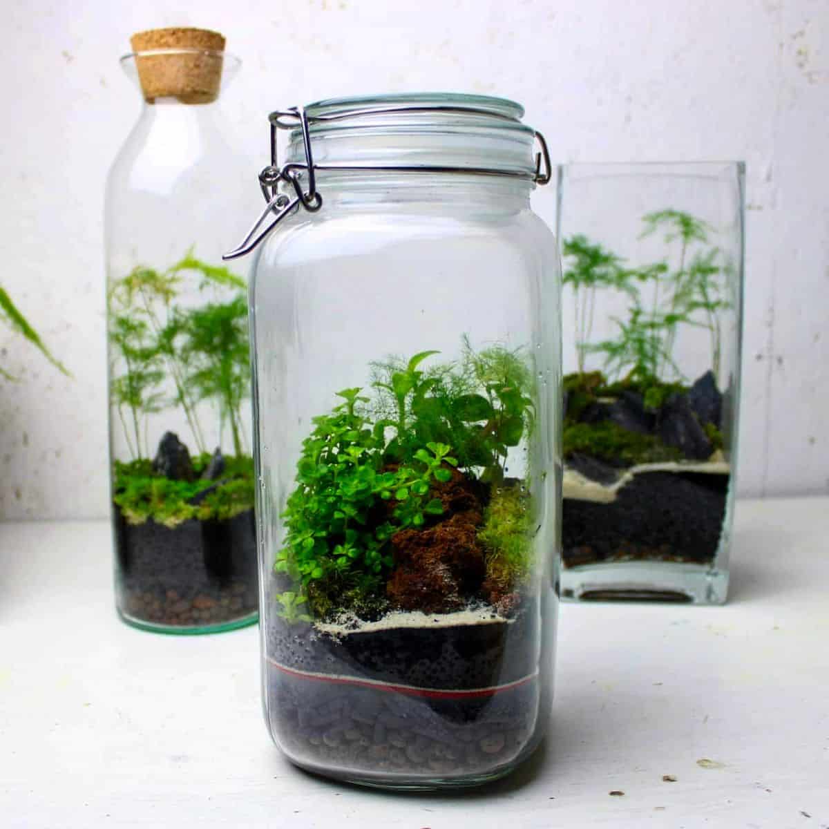 Mason jar terrarium and other containers