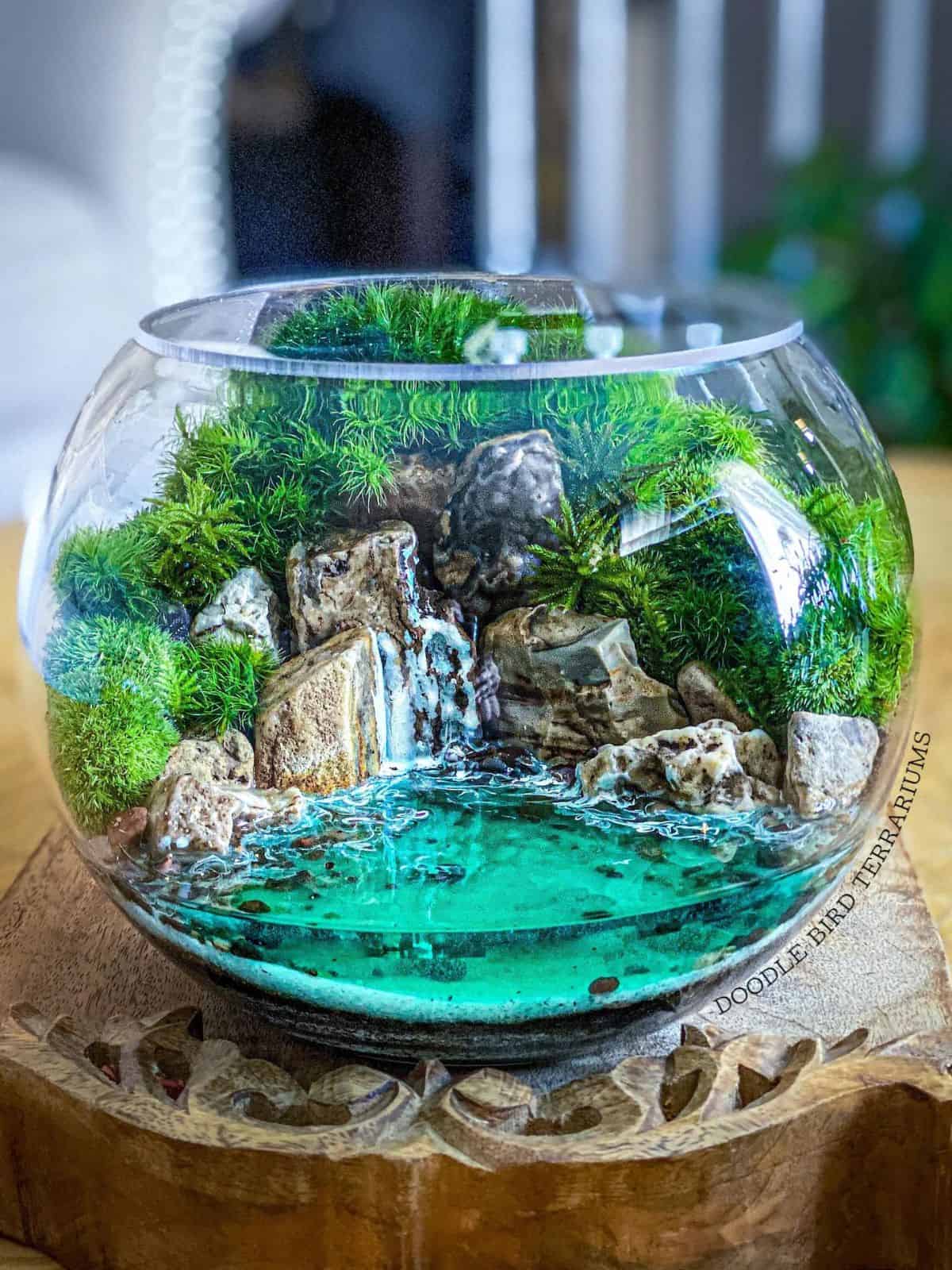 vinger Discriminatie Klagen 12+ Creative DIY Terrarium Ideas to Try - Get Your Craft On!